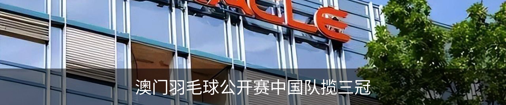 最新动态